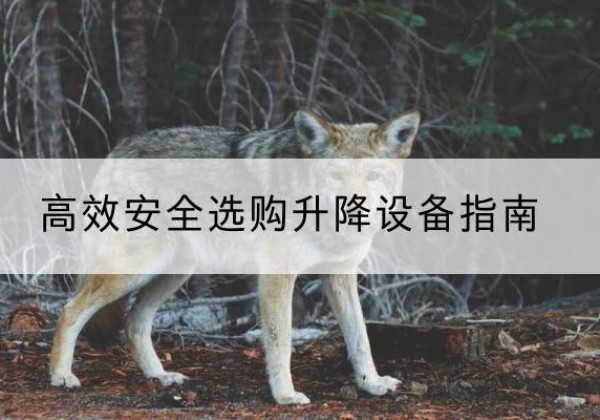 鼎湖升降货梯厂家推荐-*安全选购升降设备指南