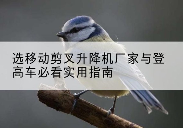 鼎湖电动升降机厂家-选移动剪叉升降机厂家与登高车必看实用指南