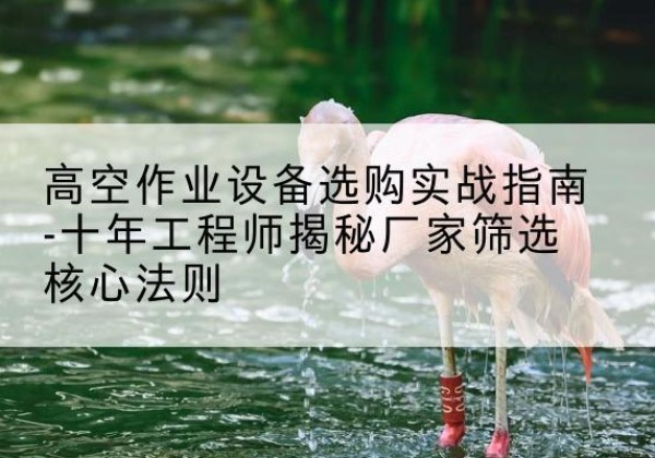 鼎湖剪叉式升降机厂家-高空作业设备选购实战指南-十年工程师揭秘厂家筛选核心法则
