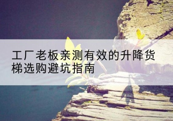 鼎湖升降货梯怎么选-工厂老板亲测有效的升降货梯选购避坑指南